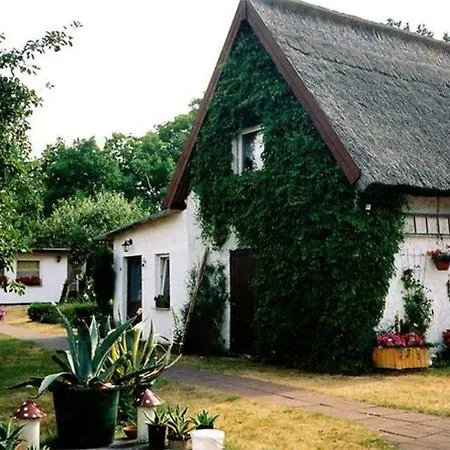 Prázdninový dům Ferienhaus Bansin Use 2371 *